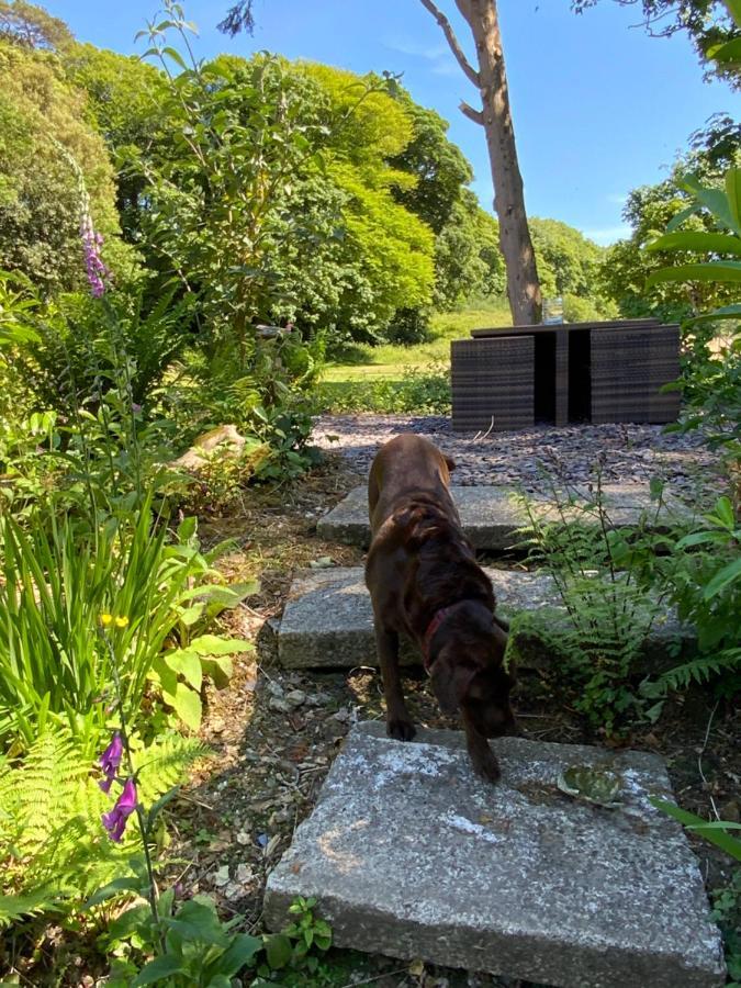 Red River Stables - Peaceful, Beautiful Grounds, Swimming Pool, Central Location For West Cornwall Camborne Exteriér fotografie