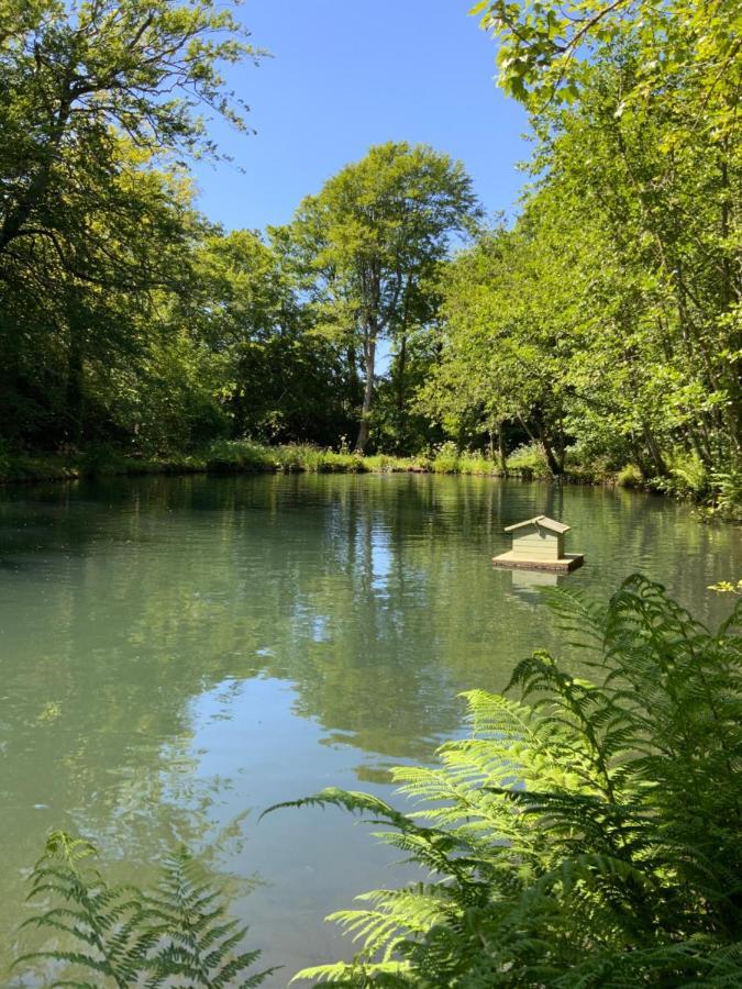 Red River Stables - Peaceful, Beautiful Grounds, Swimming Pool, Central Location For West Cornwall Camborne Exteriér fotografie
