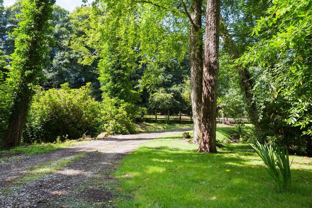 Red River Stables - Peaceful, Beautiful Grounds, Swimming Pool, Central Location For West Cornwall Camborne Exteriér fotografie