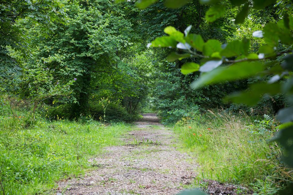 Red River Stables - Peaceful, Beautiful Grounds, Swimming Pool, Central Location For West Cornwall Camborne Exteriér fotografie